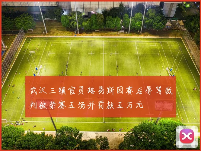 武汉三镇官员路易斯因赛后辱骂裁判被禁赛五场并罚款五万元